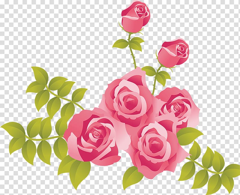 Rose Pink , Pink Roses Painted , pink roses sticker transparent background PNG clipart