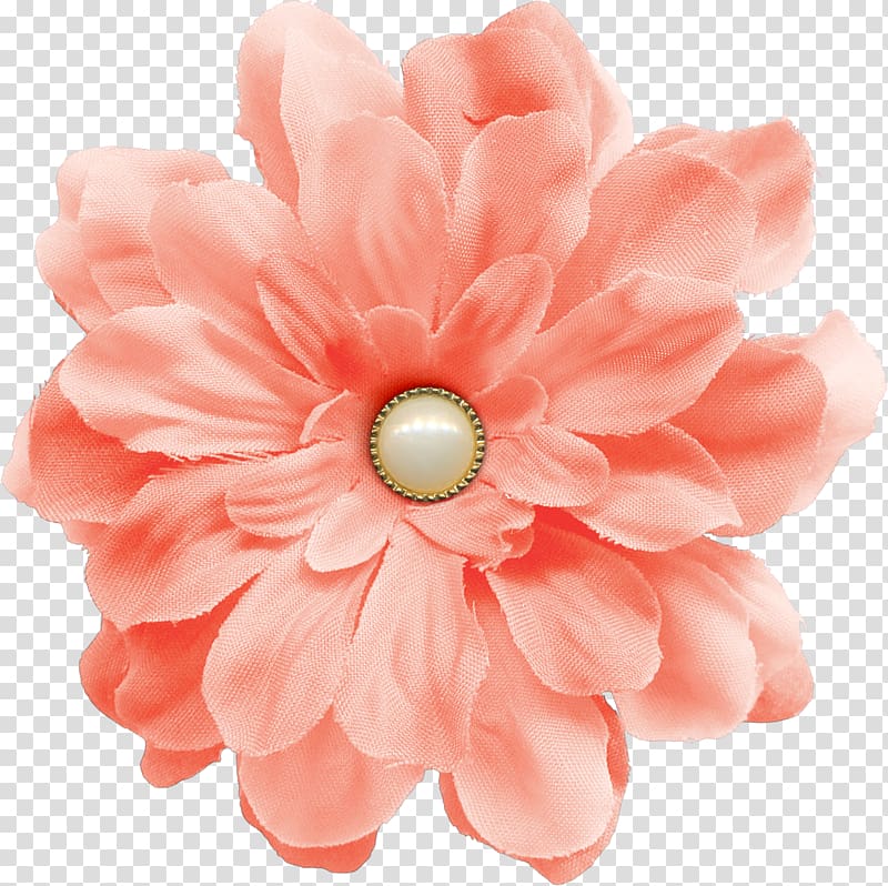 Flower Pearl, Pink flower buttons transparent background PNG clipart