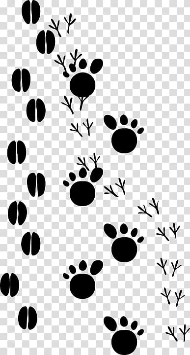 Dog Animal track Footprint Paw , Dog transparent background PNG clipart