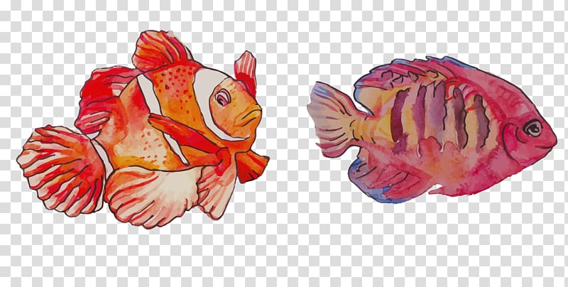 Watercolor painting Clownfish, Watercolor FISH painting transparent background PNG clipart