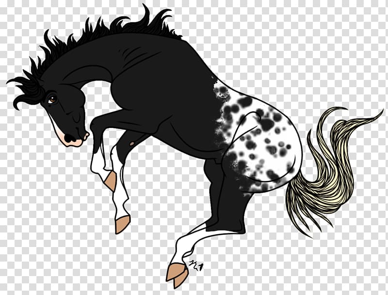 Mane Pony Mustang Stallion Halter, bucking horse transparent background PNG clipart