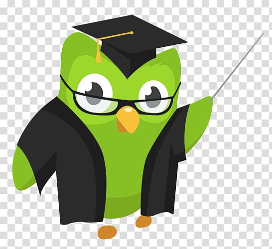Duolingo Explanation Learning Possessive Verb, learning from other transparent background PNG clipart