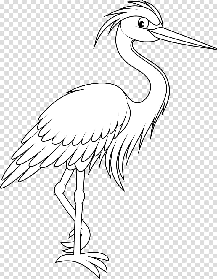 Crane Bird Stork Beak Pelecaniformes, crane transparent background PNG clipart