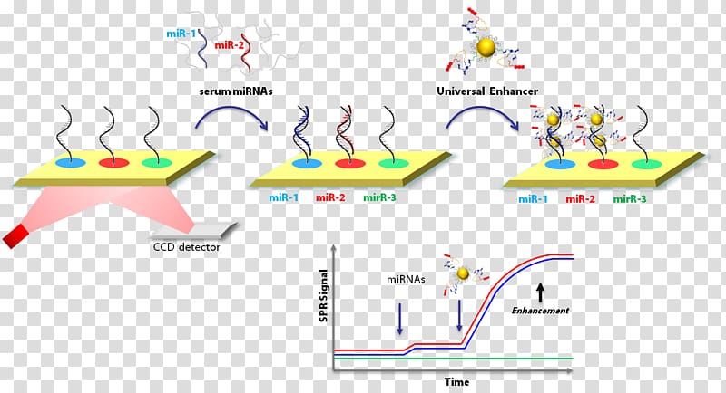 Surface plasmon resonance Raman spectroscopy, raman transparent background PNG clipart