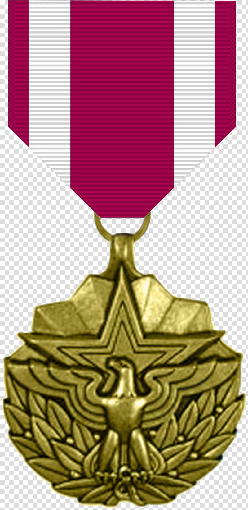 Meritorious Service Medal Military awards and decorations National Defense Service Medal, medal transparent background PNG clipart