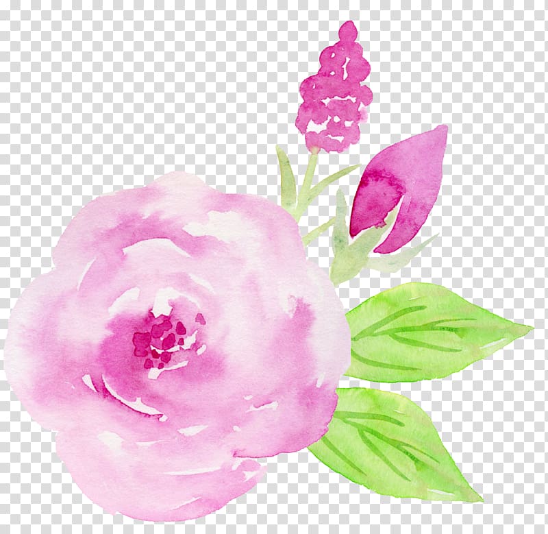 pink and purple roses decorative pattern transparent background PNG clipart