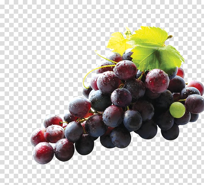 Common Grape Vine Ruby Roman Grape seed extract Nutrition, grape transparent background PNG clipart