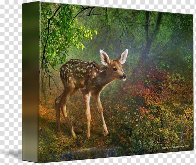 White-tailed deer Canvas print Printing Painting, painting transparent background PNG clipart