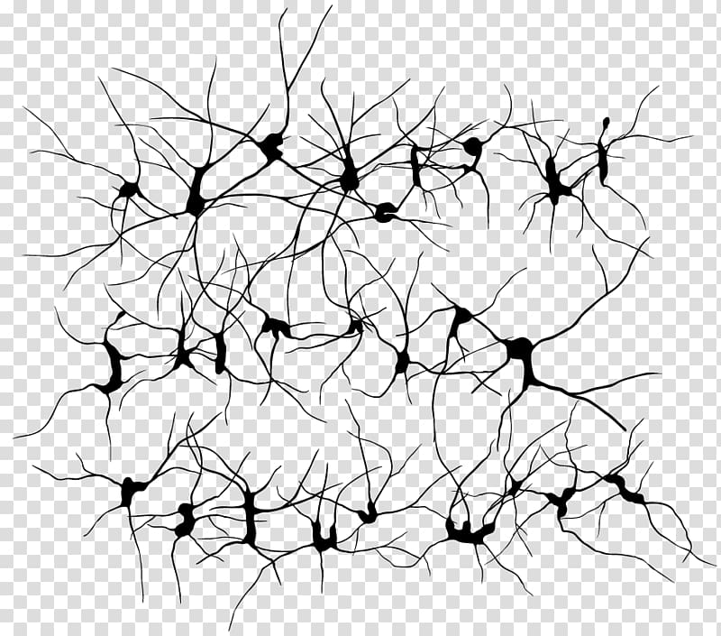 Neuron , neuron transparent background PNG clipart