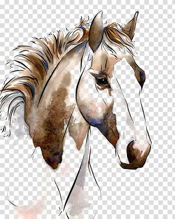 American Paint Horse Watercolor painting Horses in art Equestrianism, horse, brown horse illustration transparent background PNG clipart