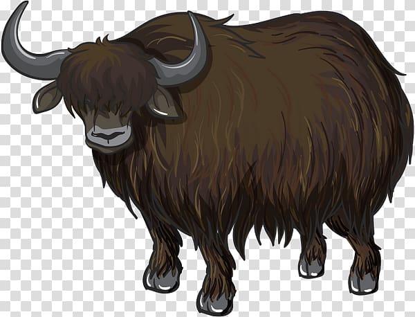 Domestic yak , yak transparent background PNG clipart