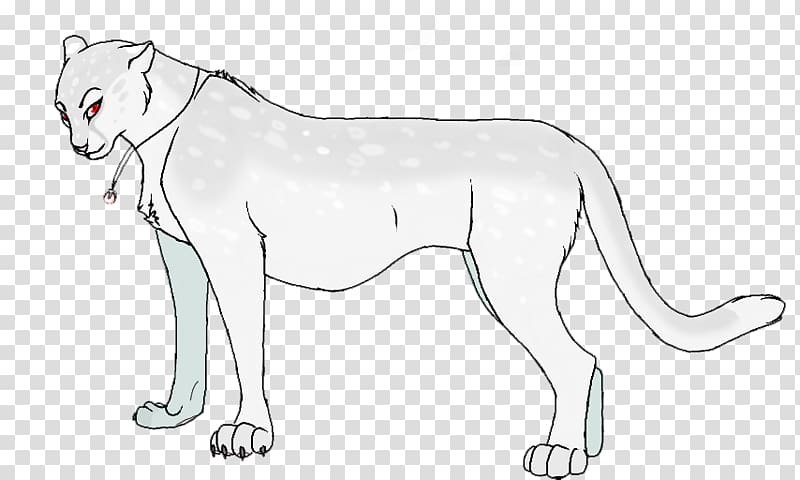 Whiskers Cat Line art Wildlife Terrestrial animal, give away transparent background PNG clipart
