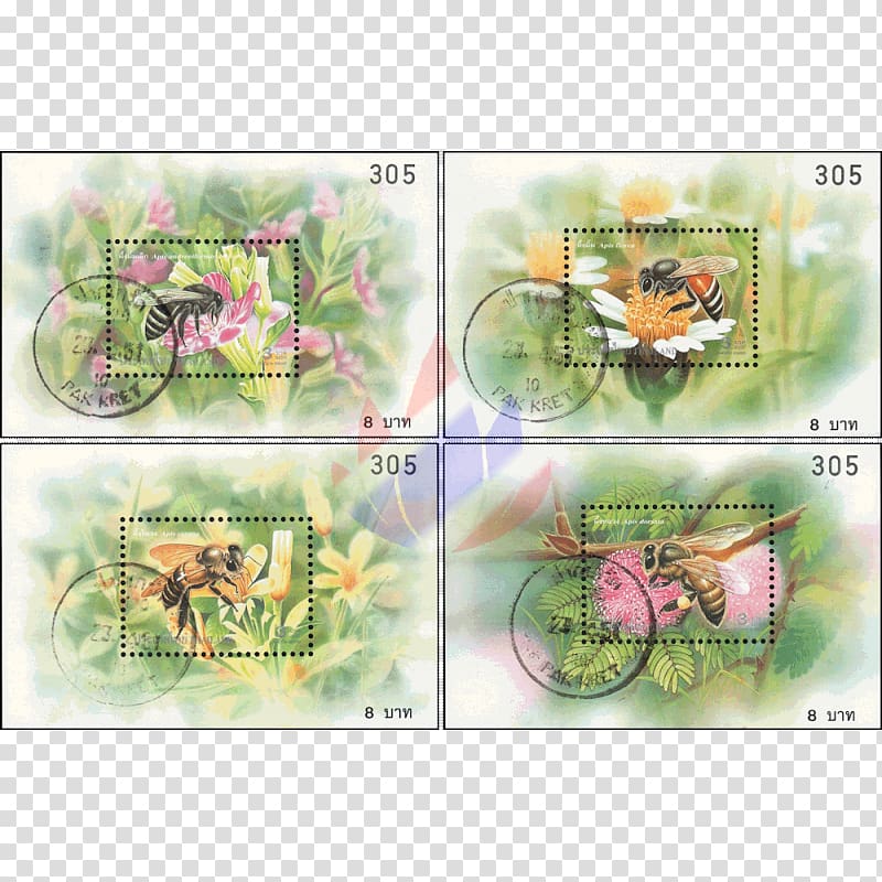 Western honey bee Insect Fauna Honey plants, insect transparent background PNG clipart