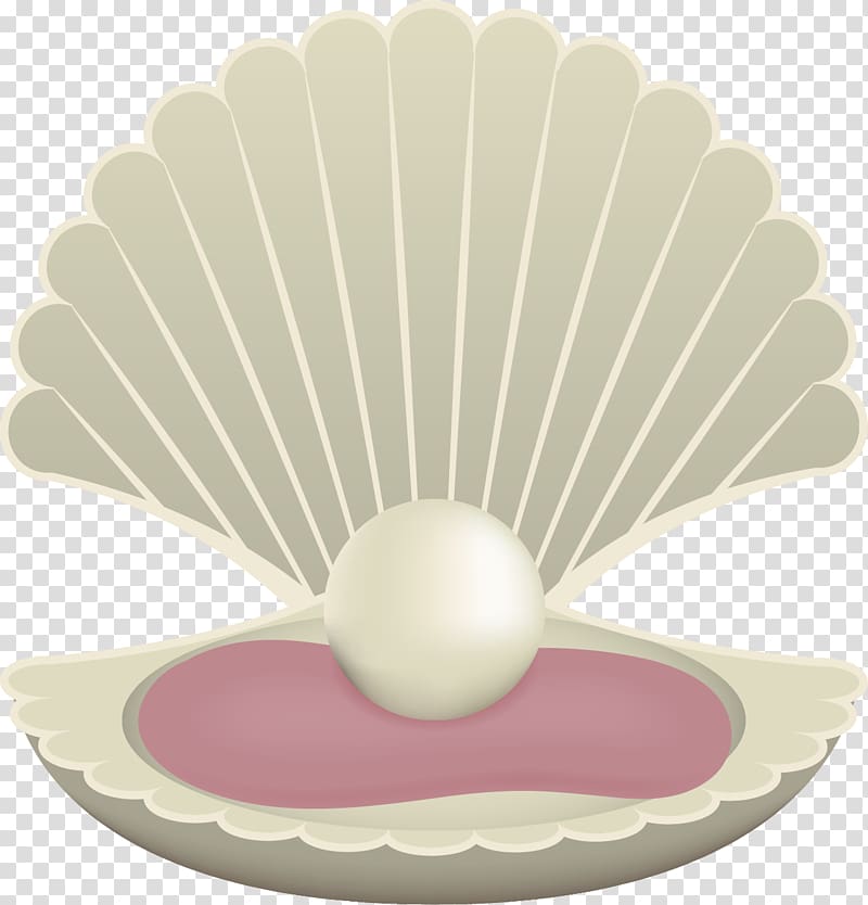 Cartoon Pearl Drawing, Great cartoon pearl shell transparent background PNG clipart