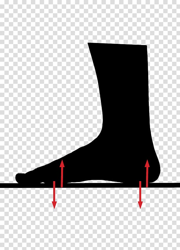 Shoe Footwear Walking Orthotics, Newton's Third Law Of Motion transparent background PNG clipart