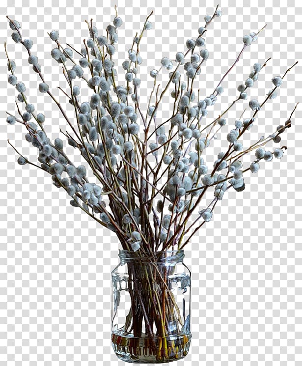 Flower Willow , flower transparent background PNG clipart