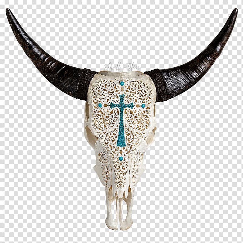 Texas Longhorn Human skull symbolism English Longhorn, skull transparent background PNG clipart