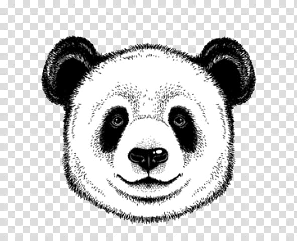 Giant panda graphics Bear Illustration Drawing, bear transparent background PNG clipart