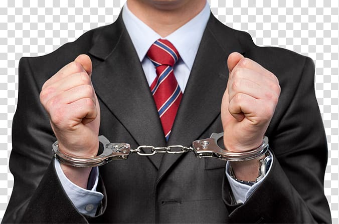 United States Criminal defense lawyer Criminal law White-collar crime, united states transparent background PNG clipart