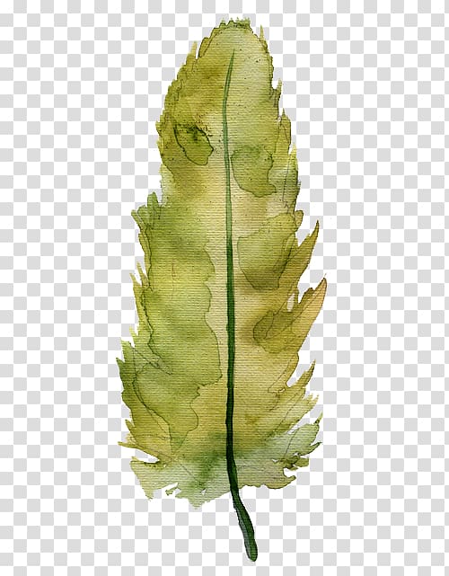 green leaf painting, Watercolor painting Illustration, Watercolor feather transparent background PNG clipart