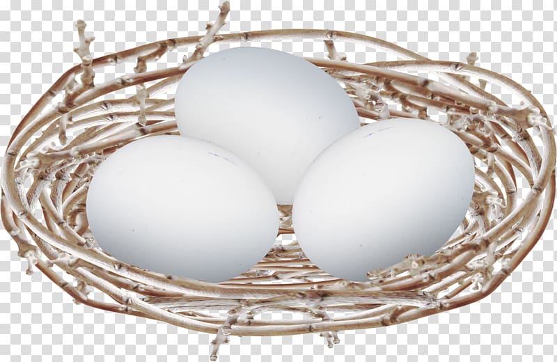 Egg Bird nest, Floating small nest eggs nest transparent background PNG clipart