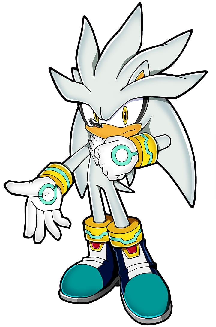 Sonic the Hedgehog Silver the Hedgehog Blaze the Cat , Someone Kicking A Ball transparent background PNG clipart