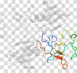 Line Point Organism , line transparent background PNG clipart thumbnail