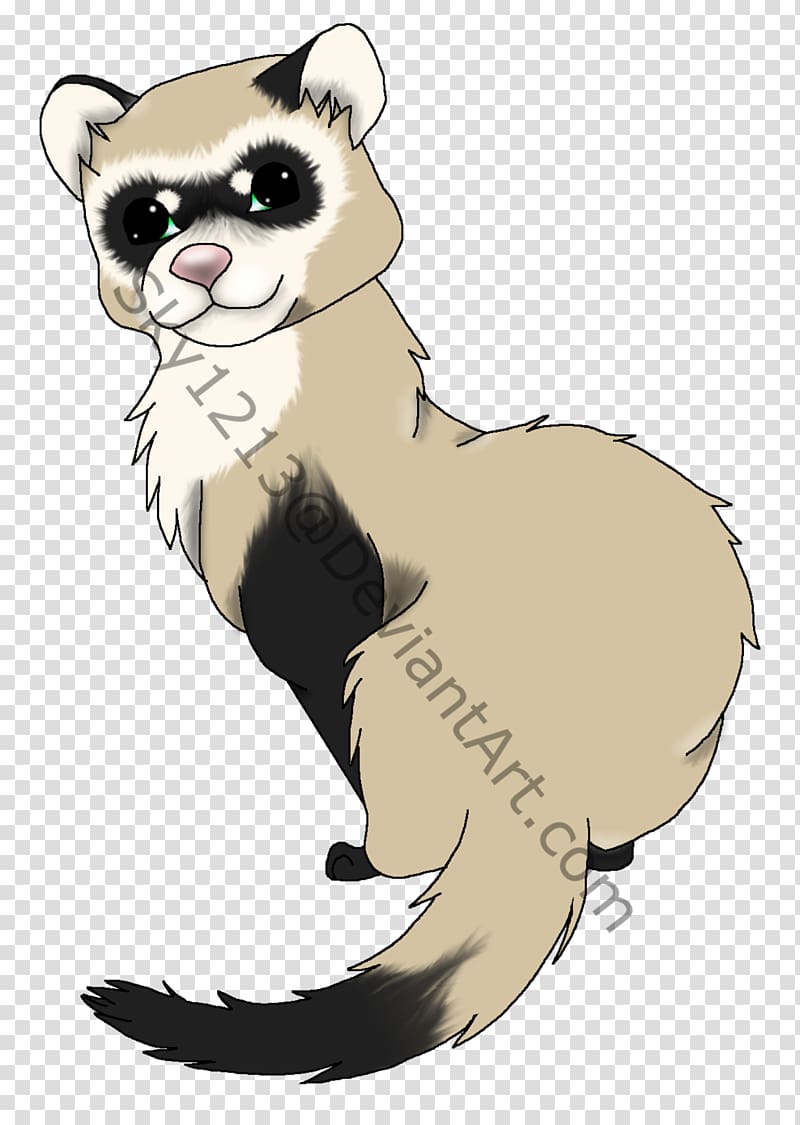 Black-footed ferret Cat Drawing Dog, ferret transparent background PNG clipart