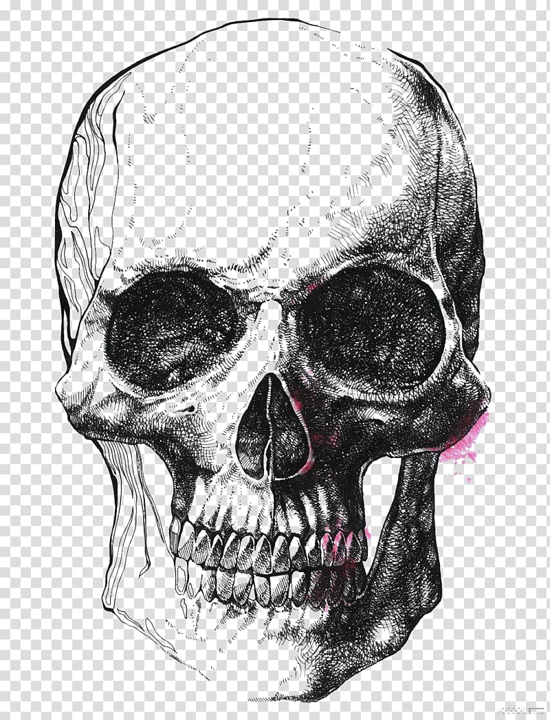 skull sketch illustration, Human skull symbolism Drawing Skeleton Illustration, Simple black and white skeleton illustrator transparent background PNG clipart