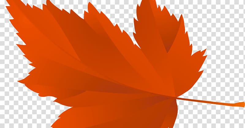 graphics Maple leaf Tree , Leaf transparent background PNG clipart
