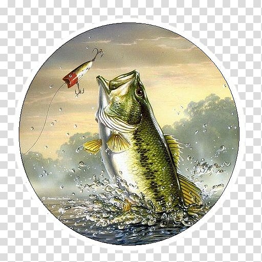 iPhone 8 Bass fishing Largemouth bass, Fishing transparent background PNG clipart