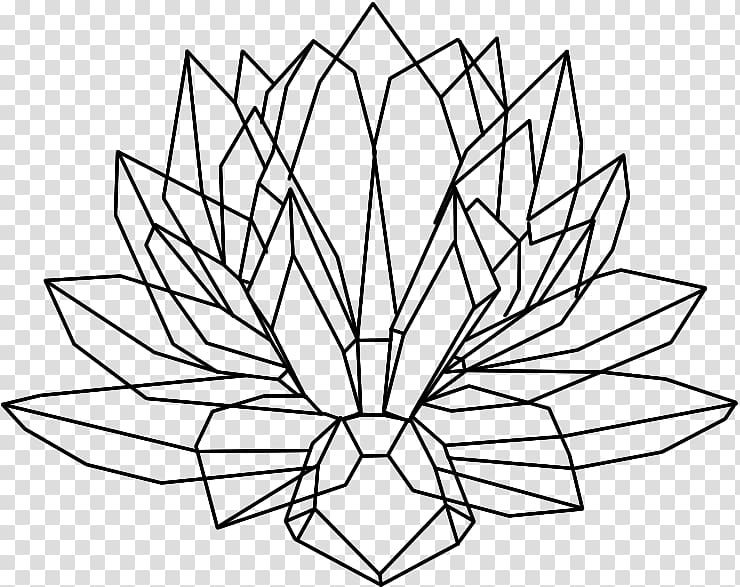 Drawing Crystal cluster Nelumbo nucifera, lotus seeds transparent background PNG clipart