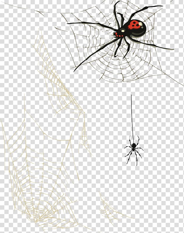 two black spiders , Spider web , Spider webs transparent background PNG clipart