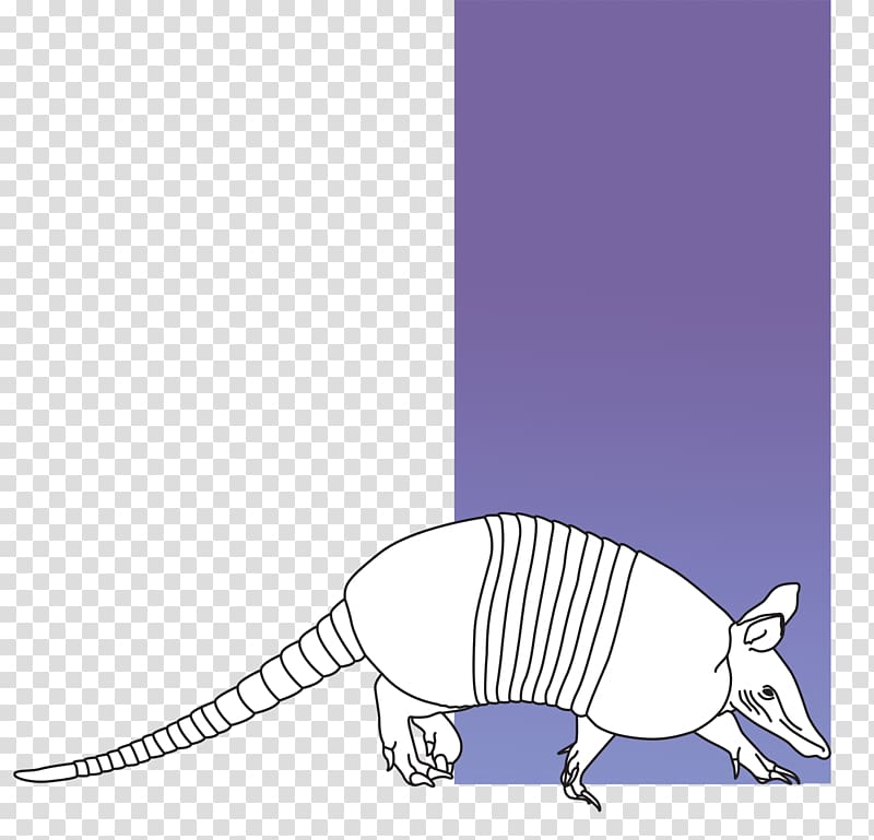 Literature Cat-like Organization Armadillo Creative writing, tatu transparent background PNG clipart