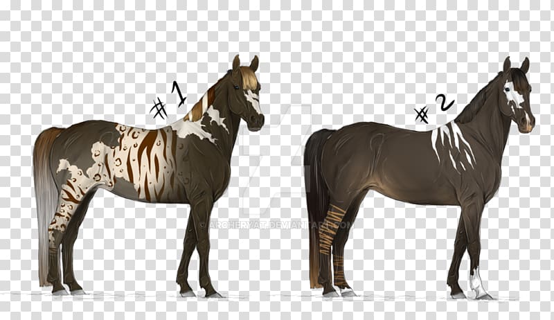 Mustang Stallion Mane Mare Warmblood, mustang transparent background PNG clipart