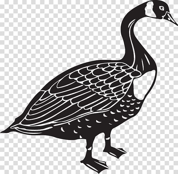 Canada Goose Bird , goose transparent background PNG clipart