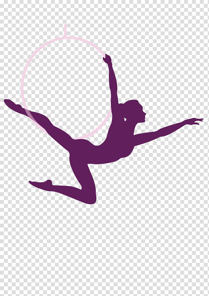 Shkola Yeleny Marso School Acrobatics Pole dance Learning, school transparent background PNG clipart