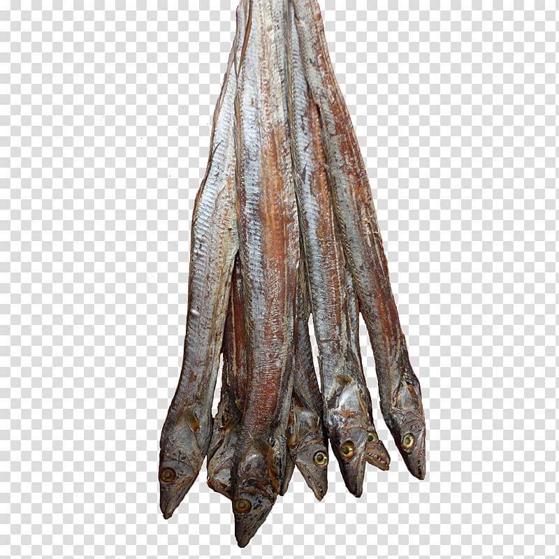 Dried fish Fish products Fish meal Tuna, fish transparent background PNG clipart