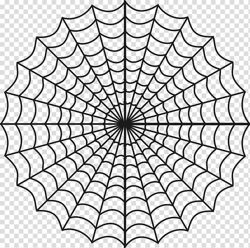 Spider web Coloring book Child , spider web transparent background PNG clipart