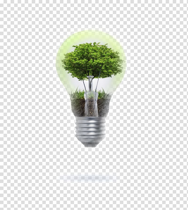 Incandescent light bulb Lamp, Twine transparent background PNG clipart