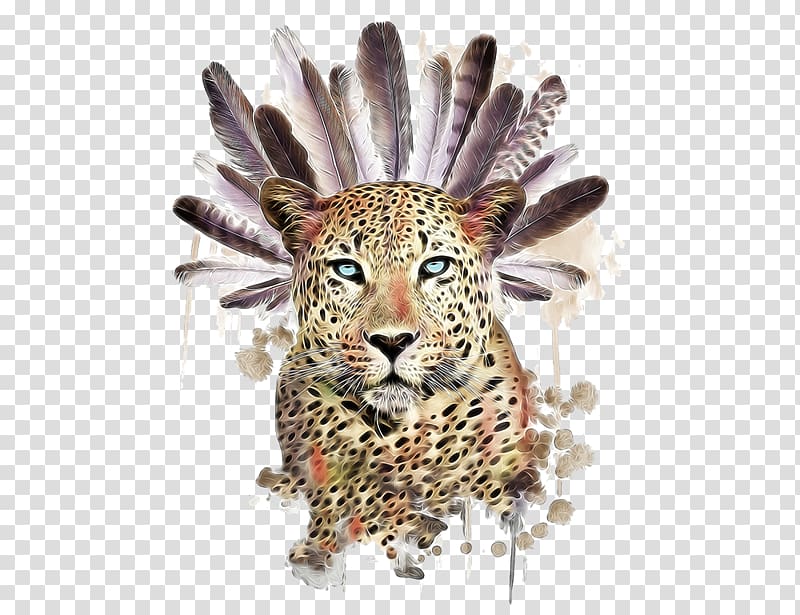 leopard, Raccoon Tiger Owl Symbol Illustration, Feather and cheetah transparent background PNG clipart