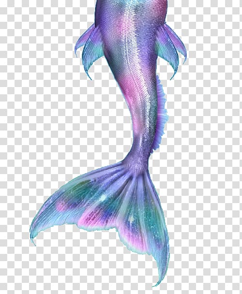 Mermaid Ariel Merliah Summers Drawing Tail, mermaid tail transparent background PNG clipart