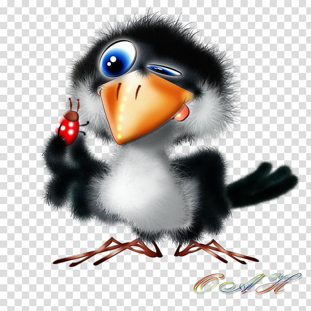 Bird Desktop Common ostrich Drawing , Bird transparent background PNG clipart