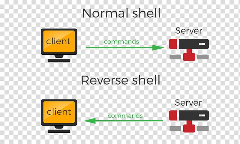 Shell shoveling Transmission Control Protocol Reverse connection Secure Shell, Shell transparent background PNG clipart