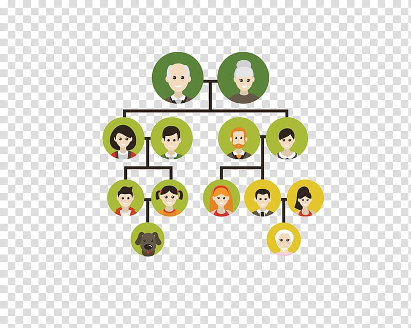 Family tree Genealogy Ancestor, Family tree transparent background PNG clipart