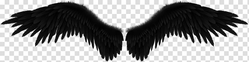 Fallen angel Wing Black, angel transparent background PNG clipart