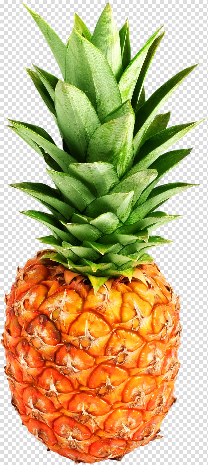 Pineapple transparent background PNG clipart