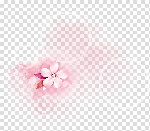 Petal Desktop Cherry blossom Close-up, Simple hand-painted flowers circle transparent background PNG clipart
