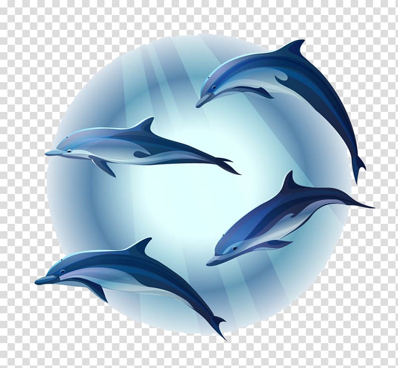 Dolphin Mural, dolphin transparent background PNG clipart
