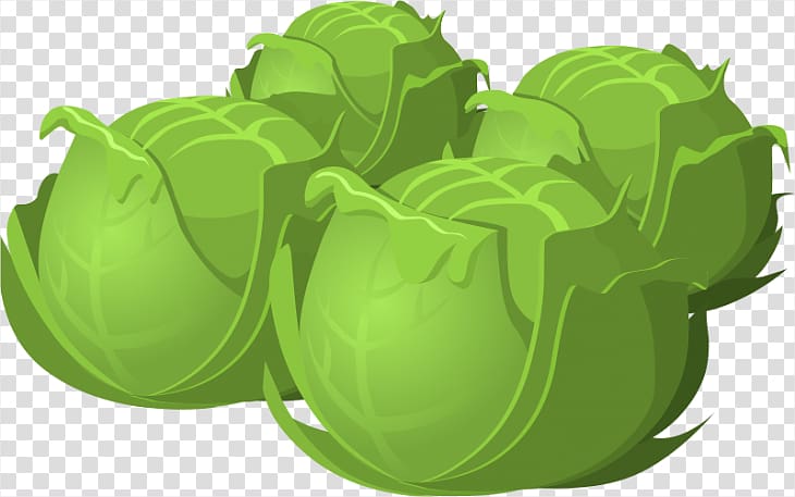 Red cabbage Brussels sprout Vegetable , Fascinating transparent background PNG clipart
